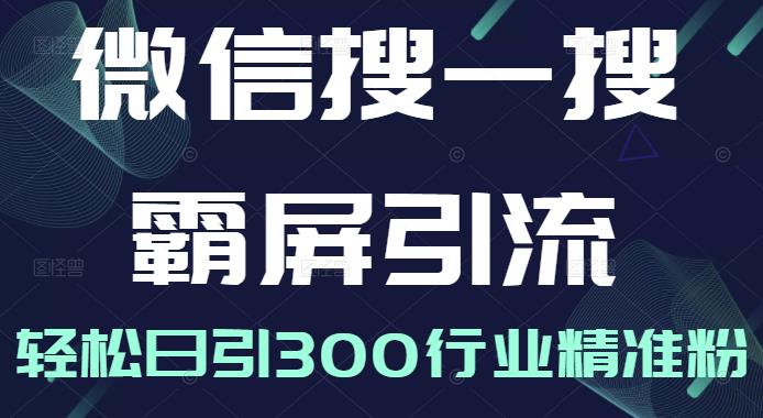 微信搜一搜霸屏引流课，打造被动精准引流系统，轻松日引300行业精准粉【无水印】