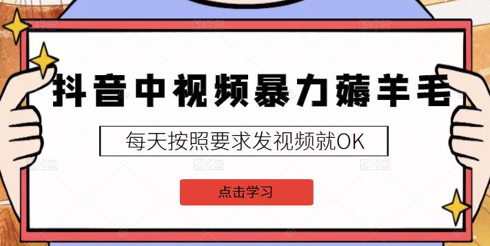 2022抖音中视频暴力薅羊毛白嫖项目：新号每天20块，老号几天几百块，可多号插图