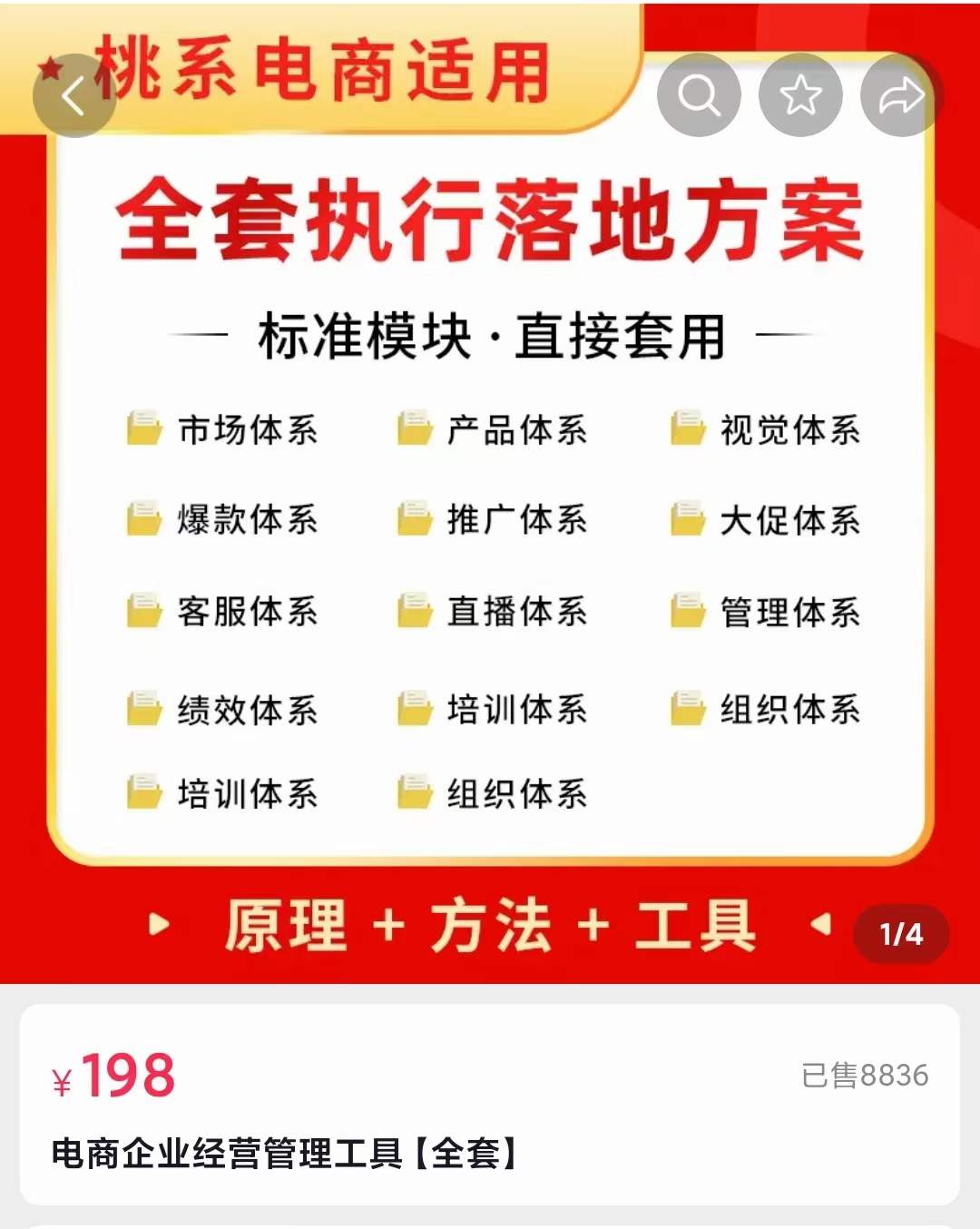 外面卖198·电商企业经营管理工具：全套执行落地方案 标准模块·直接套用插图