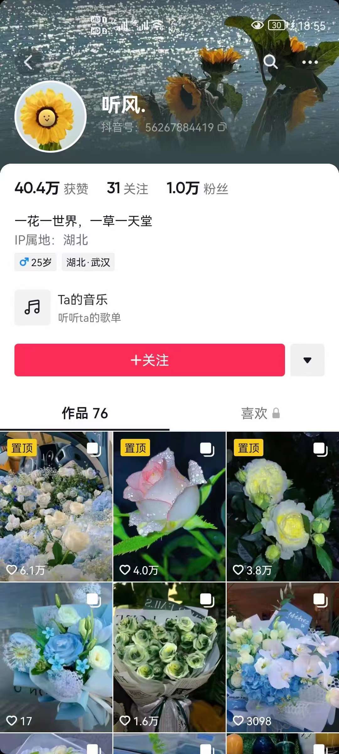 抖音壁纸变现项目：实战日入380 发布壁纸素材获取收益！插图2