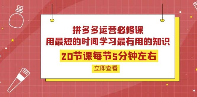 拼多多运营必修课：20节课每节5分钟左右，用最短的时间学习最有用的知识