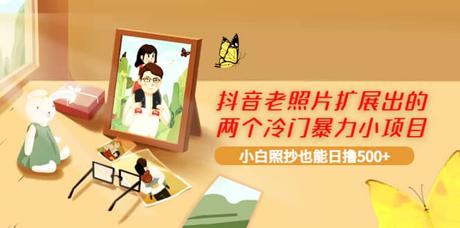 抖音老照片扩展出的两个冷门暴力小项目，小白照抄也能日撸500插图