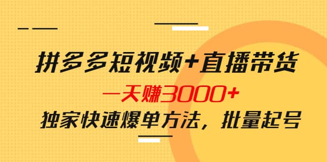 拼多多短视频 直播带货，一天赚3000 独家快速爆单方法，批量起号插图