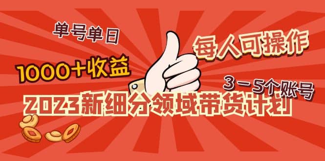 2023新细分领域带货计划：单号单日1000 收益不难，每人可操作3-5个账号插图