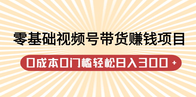 零基础视频号带货赚钱项目，0成本0门槛轻松日入300 【视频教程】