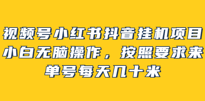 视频号小红书抖音挂机项目，小白无脑操作，按照要求来，单号每天几十米