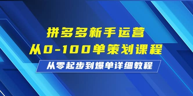 拼多多新手运营从0-100单策划课程，从零起步到爆单详细教程