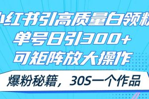 小红书引高质量白领粉，单号日引300+，可放大操作，爆粉秘籍！30s一个作品