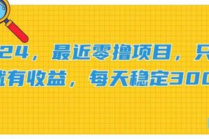 2024，最近零撸项目，只要做就有收益，每天动动手指稳定收益300+