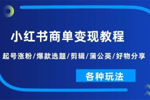 小红书商单变现教程：起号涨粉/爆款选题/剪辑/蒲公英/好物分享/各种玩法