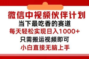 微信中视频伙伴计划，仅靠搬运就能轻松实现日入500+，关键操作还简单，…