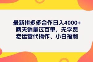 最新拼多多项目日入4000+两天销量过百单，无学费、老运营代操作、小白福利