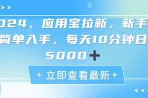 2024应用宝拉新，真正的蓝海项目，每天动动手指，日入5000+