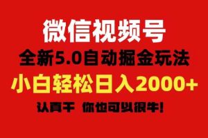 微信视频号变现，5.0全新自动掘金玩法，日入利润2000+有手就行