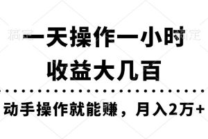 一天操作一小时，收益大几百，动手操作就能赚，月入2万+教学