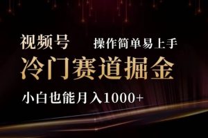 2024视频号冷门赛道掘金，操作简单轻松上手，小白也能月入1000+