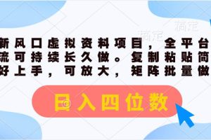 最新风口虚拟资料项目，全平台自然流可持续长久做。复制粘贴 日入四位数