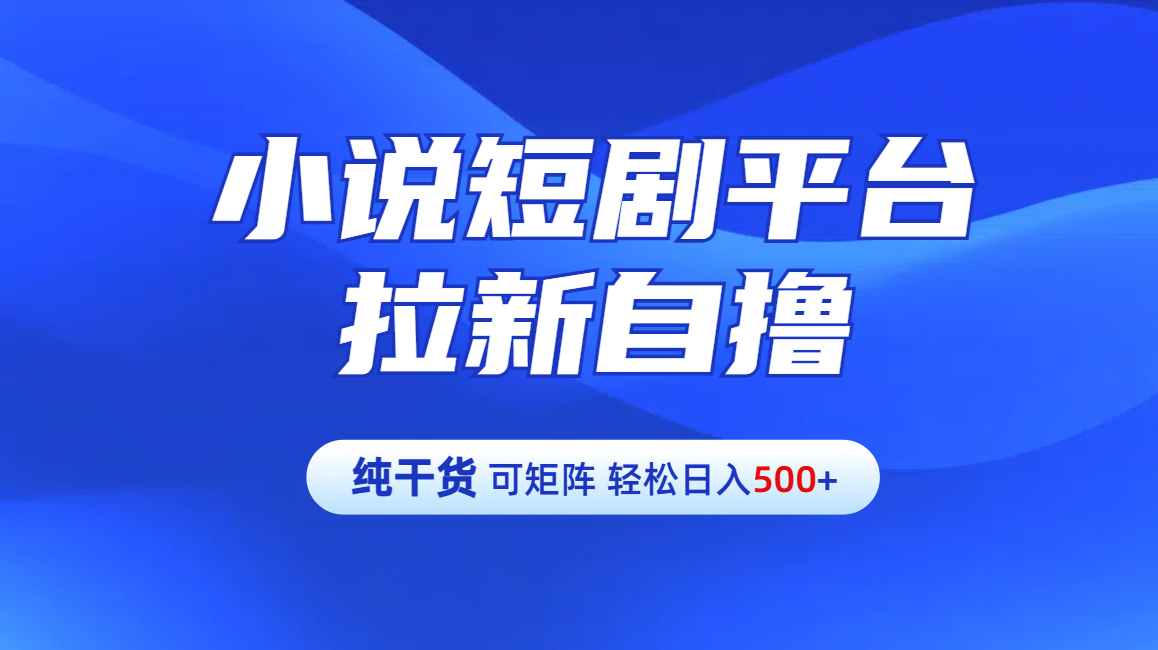 【纯干货】小说短剧平台拉新自撸玩法详解-单人轻松日入500+