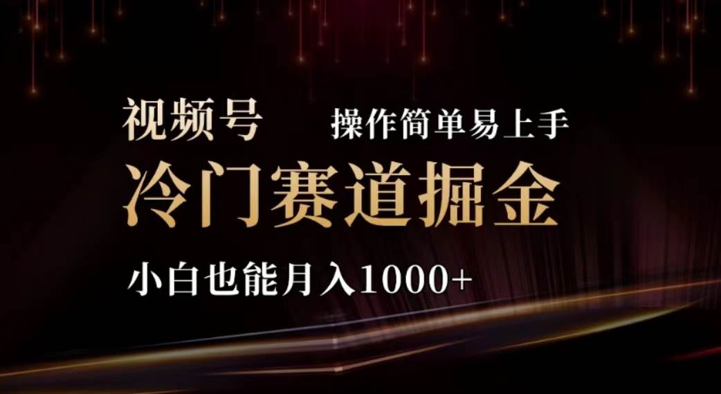 2024视频号冷门赛道掘金，操作简单轻松上手，小白也能月入1000+插图